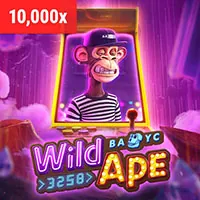 Hình ảnh các chứng nhận và giấy phép hoạt động của cmd368 win