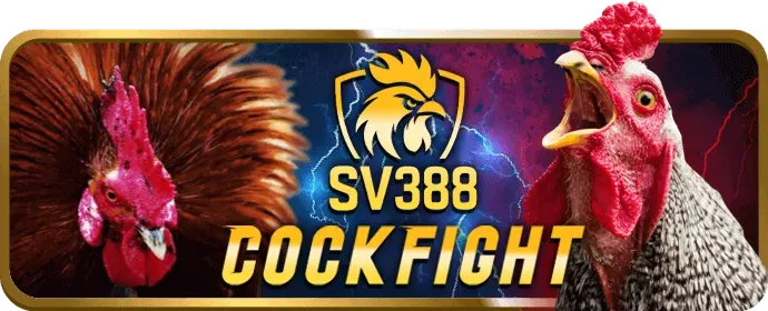 Khuyến mãi cá cược thể thao CMD368 Win